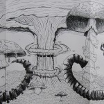 Mushrooms and Skulls by Sam Momeyer