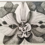 Orchid By Mary