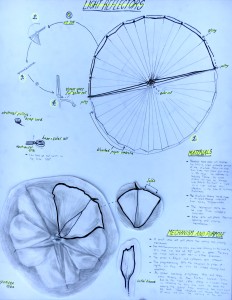 Moonflower reflector mechanism